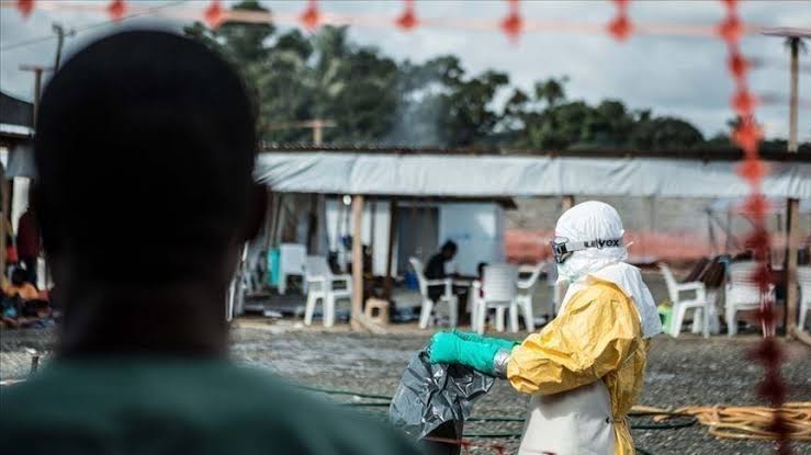 Ebola en RDC : plus de 100 patients guéris, les autorités renforcent la riposte
