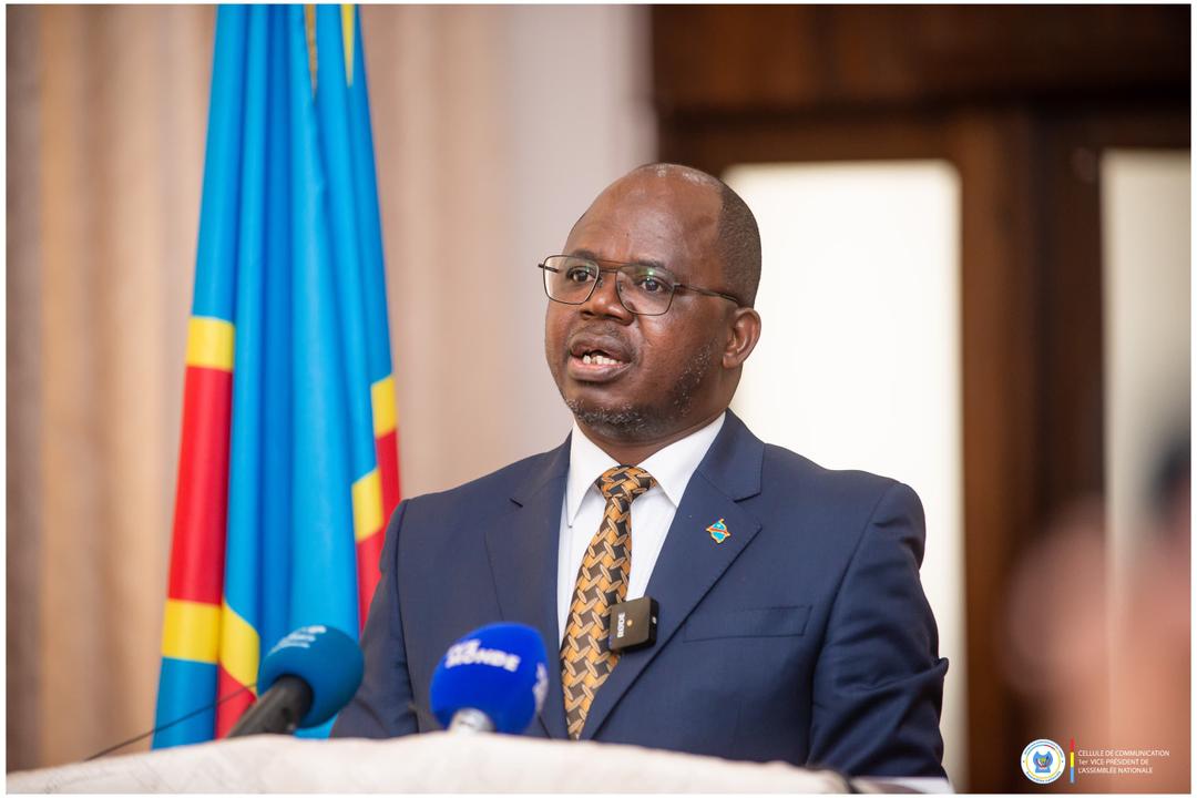 Guerre en RDC : 13 milliards USD de coûts